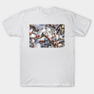 Winter berries covered with snow on a tree T-Shirt